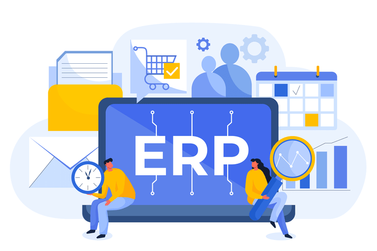 Custom ERP solution